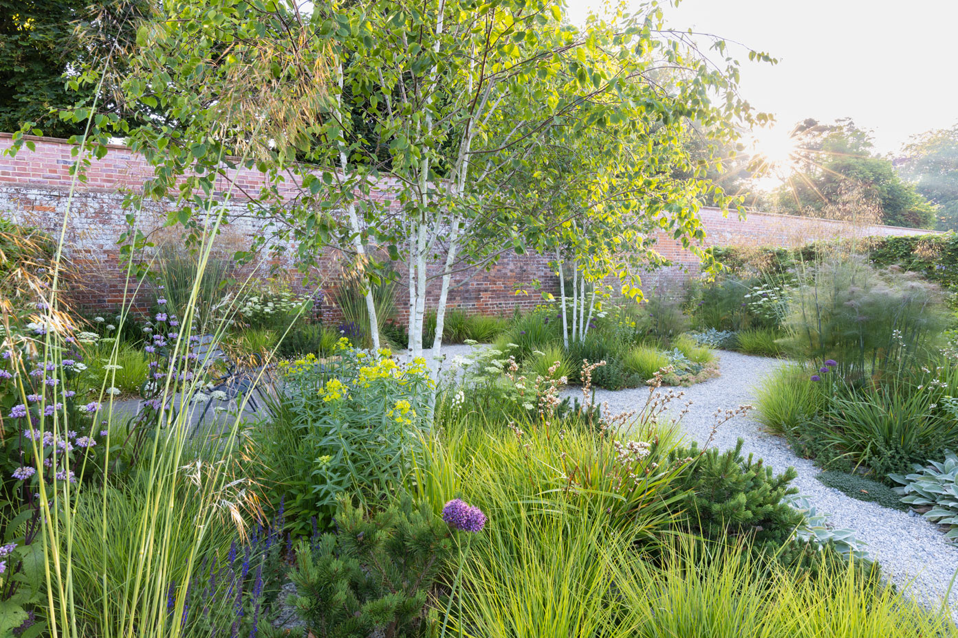 Colm Joseph suffolk walled garden design gravel paths multi-stem birch trees dwarf pines euphorbia schillingii libertia fennel